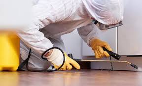 Best Pest Prevention Services  in Beesleys Point, NJ